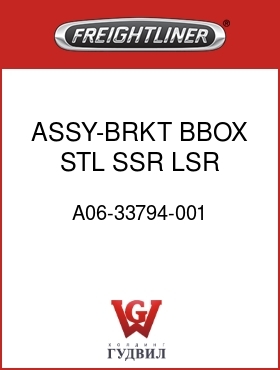 Оригинальная запчасть Фредлайнер A06-33794-001 ASSY-BRKT,BBOX STL,SSR,LSR,RH