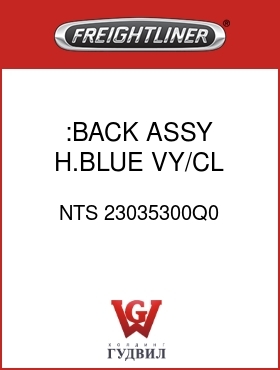Оригинальная запчасть Фредлайнер NTS 23035300Q0 :BACK ASSY,H.BLUE,VY/CL