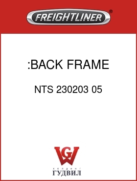 Оригинальная запчасть Фредлайнер NTS 230203 05 :BACK FRAME,HI,NTS2K
