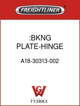 Оригинальная запчасть Фредлайнер A18-30313-002 :BKNG PLATE-HINGE,DOOR,LH