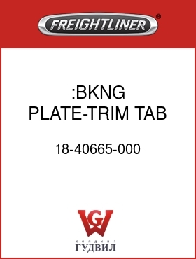 Оригинальная запчасть Фредлайнер 18-40665-000 :BKNG PLATE-TRIM TAB