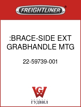 Оригинальная запчасть Фредлайнер 22-59739-001 :BRACE-SIDE EXT,GRABHANDLE MTG