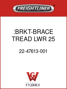 Оригинальная запчасть Фредлайнер 22-47613-001 :BRKT-BRACE,TREAD,LWR,25,POLISH