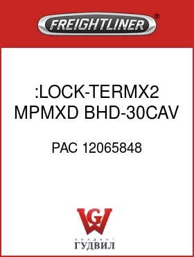 Оригинальная запчасть Фредлайнер PAC 12065848 :LOCK-TERMX2,MPMXD,BHD-30CAV,BL