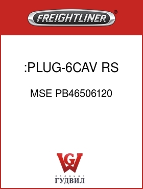 Оригинальная запчасть Фредлайнер MSE PB46506120 :PLUG-6CAV,RS,2X3,GRAY