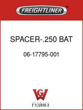 Оригинальная запчасть Фредлайнер 06-17795-001 SPACER-.250,BAT BOX MTG
