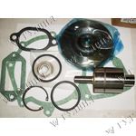 РЕМКОМПЛЕКТ ПОМПЫ