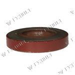 САЛЬНИК ПОМПЫ CUM KT MC BEE