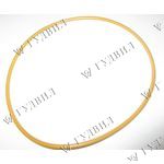 КОЛЬЦО ПОМПЫ