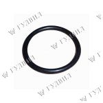 КОЛЬЦО КОРПУСА ТЕРМОСТАТА CUM N14,NT855 DSG