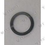 УПЛОТНИТЕЛЬНОЕ КОЛЬЦО CUM KT,QSK MC BEE