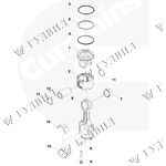 РЕМ/КОМПЛЕКТ ПОРШНЯ CUM M11,QSM ОРИГИНАЛЬНЫЙ CUMMINS