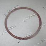 КОЛЬЦО ФОРСУНКИ