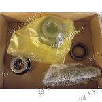 РЕМКОМПЛЕКТ ПОМПЫ CAT C15 BXS 