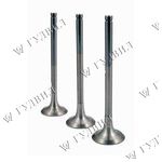 КЛАПАН ВПУСК/ВЫПУСК JOHN DEERE 6135 