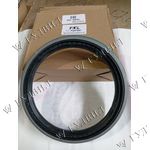 САЛЬНИК ЗАДНЕЙ СТУПИЦЫ 