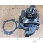 ПОМПА CUM ISM/QSM