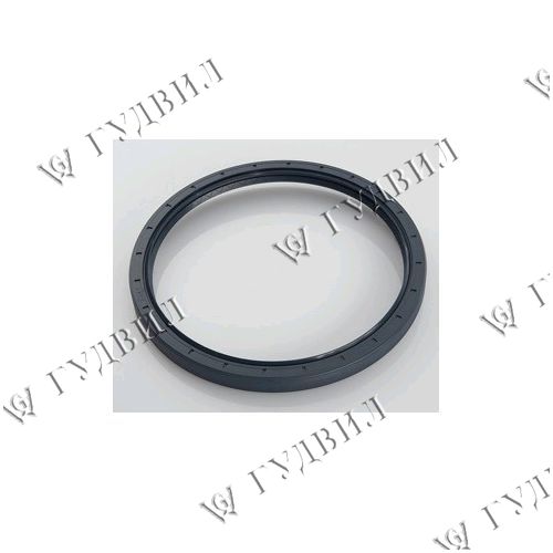 САЛЬНИК СТУПИЧНЫЙ - A3605