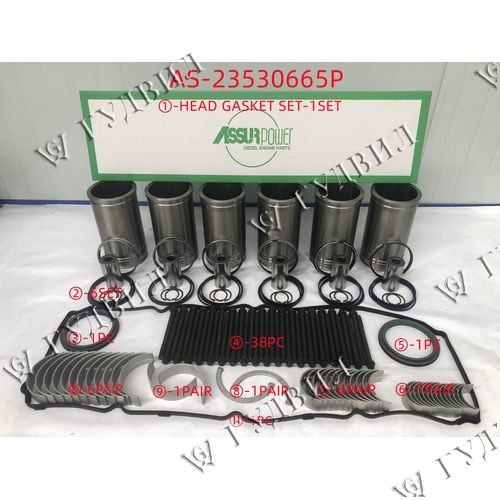 Р/К-Т ДВИГАТЕЛЯ DD S60 EGR 14L  - AS-IF23530665