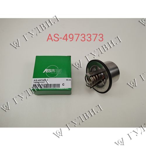 ТЕРМОСТАТ - AS-4973373