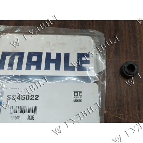 КОЛПАЧОК МАСЛОСЪЕМНЫЙ ВПУСК/ВЫПУСК CUM ISX (1ШТ.)  - SS460221