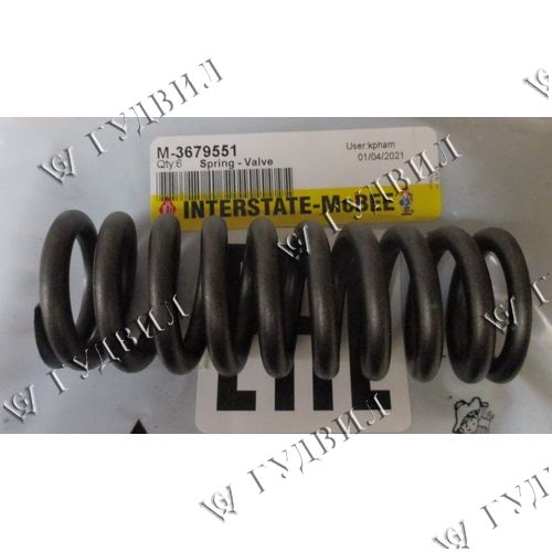 ПРУЖИНА КЛАПАНА - AS-3679551